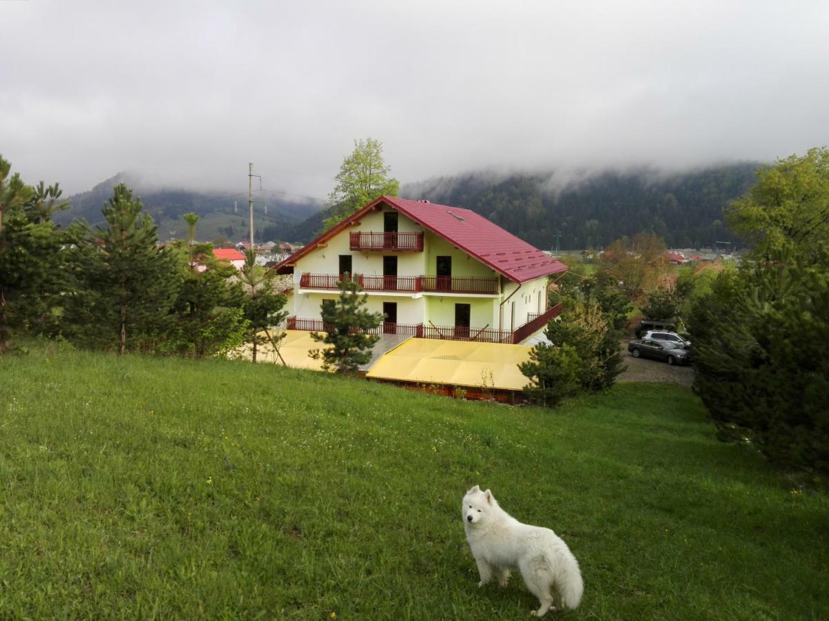 Grandemi Belvedere Bucovina Frasin Ngoại thất bức ảnh